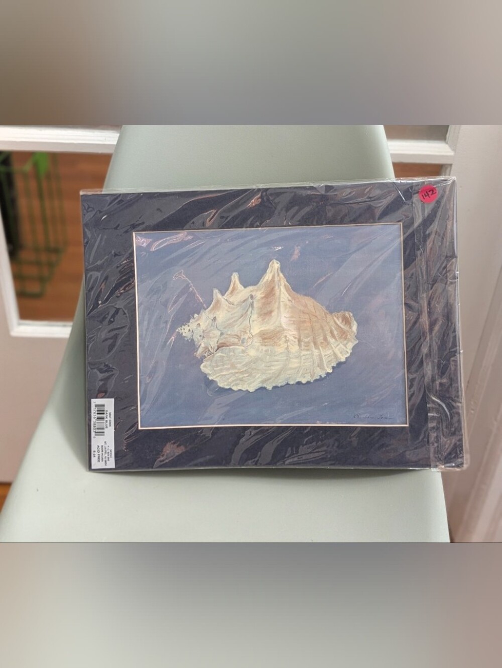 Sea Shell Print with Blue Mat